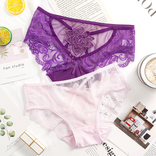 Sexy Embroidered Lace Low Rise Briefs