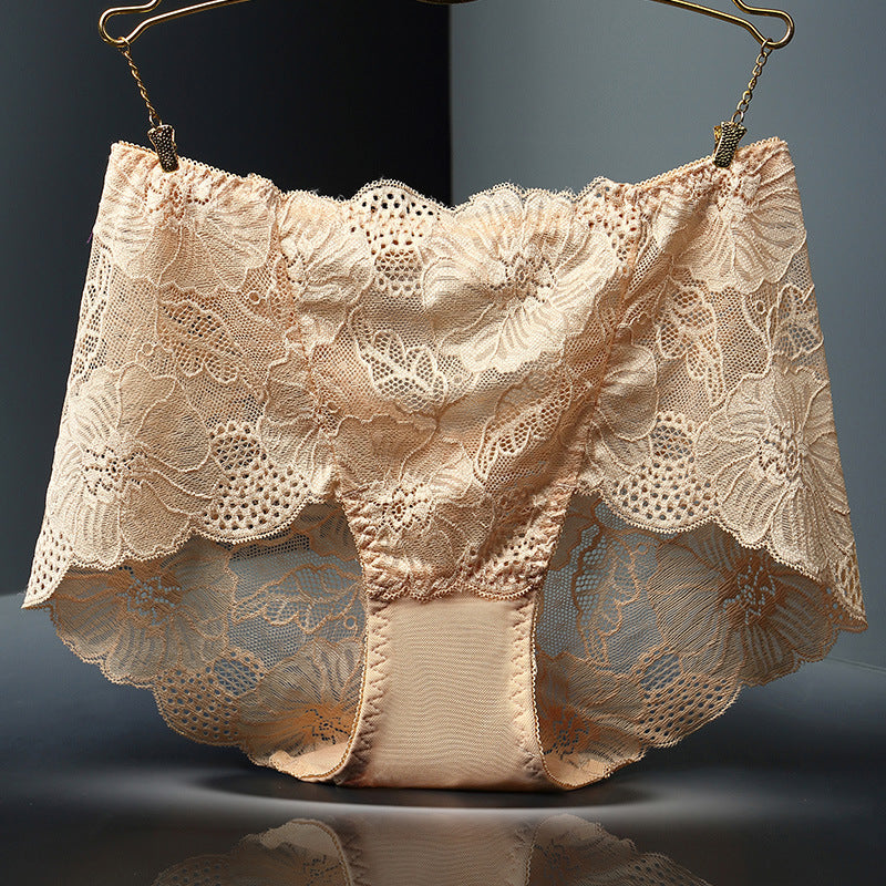 Sexy Lace Transparent Mesh Briefs