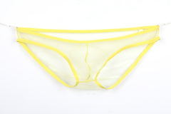 Men's Sheer Mesh Pouch Low Rise Briefs