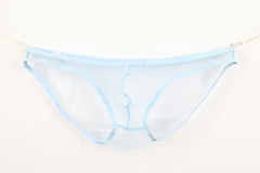Men's Sheer Mesh Pouch Low Rise Briefs