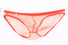 Men's Sheer Mesh Pouch Low Rise Briefs
