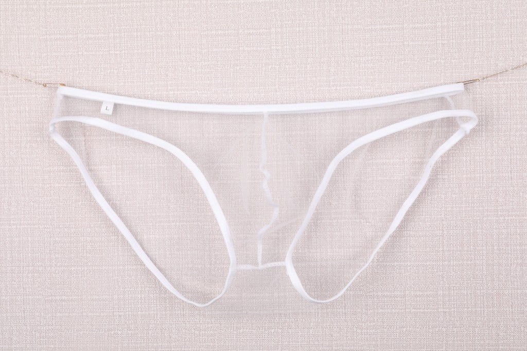 Men's Sheer Mesh Pouch Low Rise Briefs
