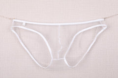 Men's Sheer Mesh Pouch Low Rise Briefs