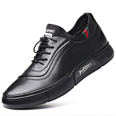 Men's Casual Leather Shoes