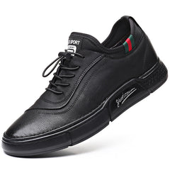 Men's Casual Leather Shoes