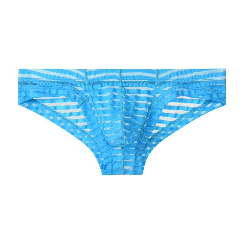 Men's Mesh Transparent Ice Silk Low Waist Sexy Briefs