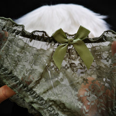 New Lace Hollow Sexy Transparent Briefs