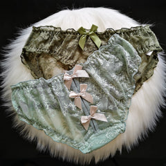New Lace Hollow Sexy Transparent Briefs