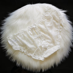New Lace Hollow Sexy Transparent Briefs