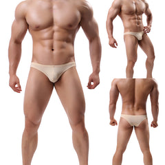 Men's Ice Silk Sexy Briefs