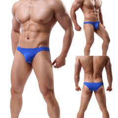 Men's Ice Silk Sexy Briefs