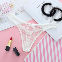 Sexy Transparent Lace Low Rise Briefs