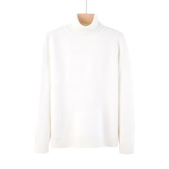 Men's Slim Fit Thickened Turtleneck Sweater