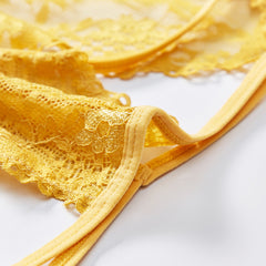 Low-waist Sexy Hollow Lace Mesh See-through Briefs