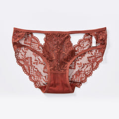 Low-waist Sexy Hollow Lace Mesh See-through Briefs