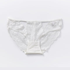 Low-waist Sexy Hollow Lace Mesh See-through Briefs
