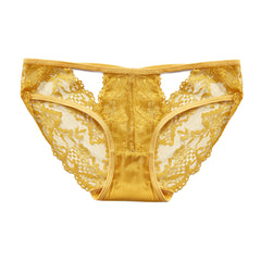 Low-waist Sexy Hollow Lace Mesh See-through Briefs