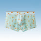 Men's Ultra-Thin Printed Ice Silk Mesh Boxer Briefs