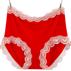 Antibacterial High Waist Lace Panties