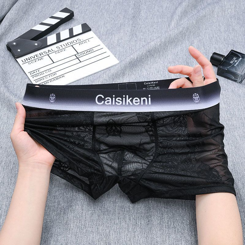 Men's Lace Sexy Mesh Transparent Ice Silk Boxer Briefs