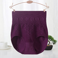 Elastic High Waist Tummy Control Plus Size Panties