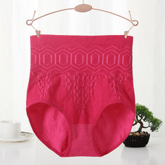 Elastic High Waist Tummy Control Plus Size Panties