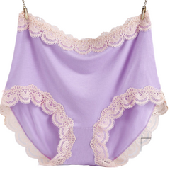 Antibacterial High Waist Lace Panties