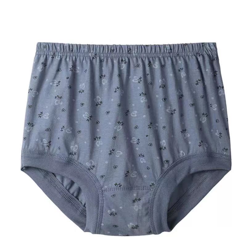 [5 PCS] High Waist Leak Proof Panties -  