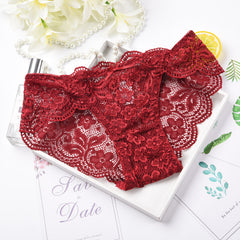 Lace Sexy Transparent Breathable Low Waist Briefs
