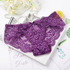 Lace Sexy Transparent Breathable Low Waist Briefs