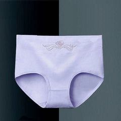 [6 PCS] Cotton Embroidered Corset Panties -  