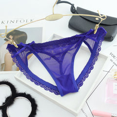 Sexy Lace Mesh Transparent Briefs