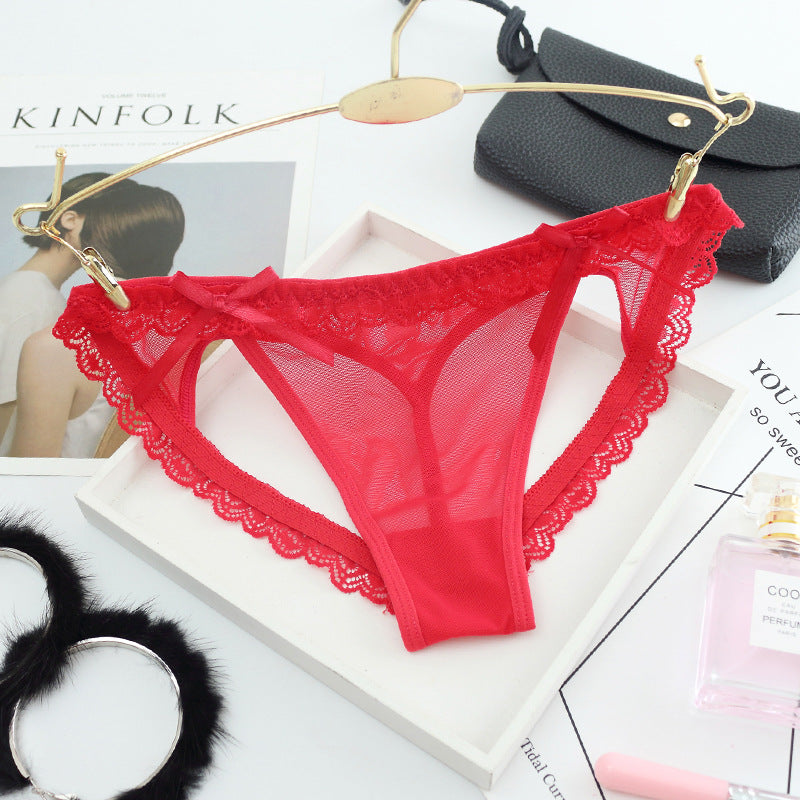 Sexy Lace Mesh Transparent Briefs
