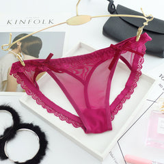 Sexy Lace Mesh Transparent Briefs