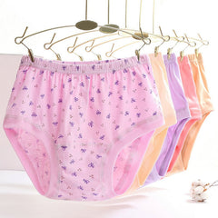 Women's Pure Cotton High Waist Printed Panties
