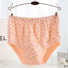 Women's Pure Cotton High Waist Printed Panties