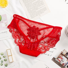 Sexy Embroidered Lace Low Rise Briefs