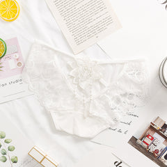 Sexy Embroidered Lace Low Rise Briefs