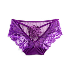 Sexy Embroidered Lace Low Rise Briefs