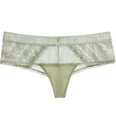 Fashionable and Sexy Lace Breathable Mesh Briefs