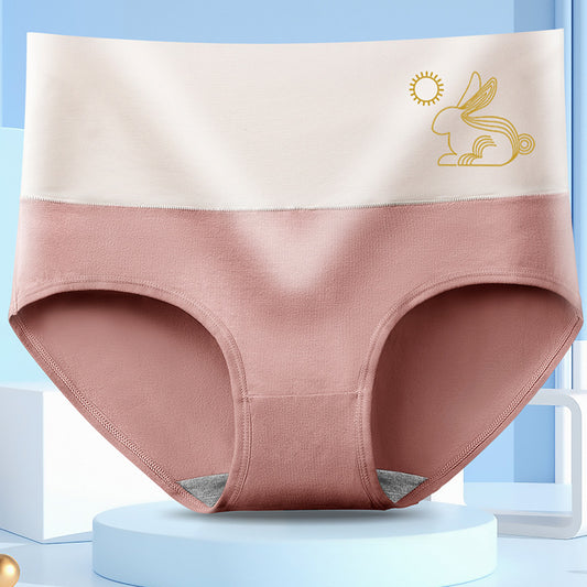 Women's Antibacterial High Waist Tummy Control Panties