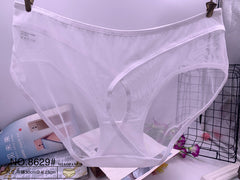 Transparent Mesh Sexy Underwear