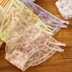 Sexy Floral Mesh Lace Transparent Panties