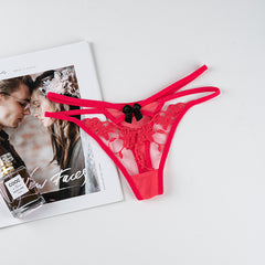 Sexy Transparent Mesh Embroidered Lace Low Rise Thong