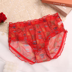 Breathable Mesh Lace Plus Size Briefs