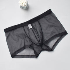 Men's Mesh See-through Boxer Briefs