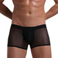 Men's Mesh Breathable Sexy Skin-friendly Boxer Briefs