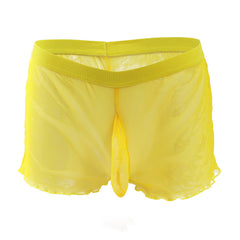 Men's Fully Transparent Mesh Sexy Underwear