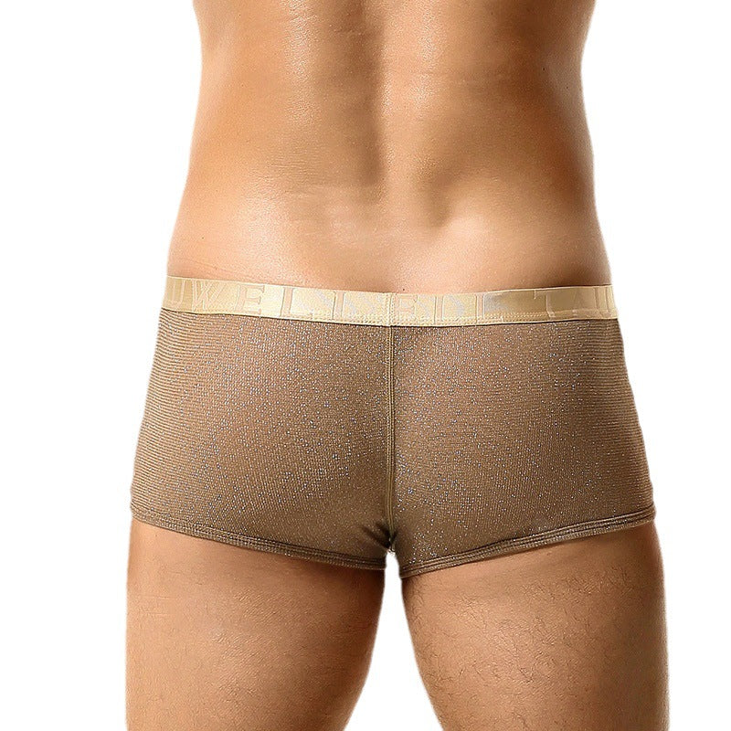 Men's New Low Waist Mesh Sexy See-through Nylon Boxer Briefs