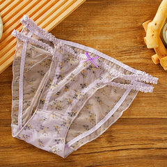Sexy Floral Mesh Lace Transparent Panties